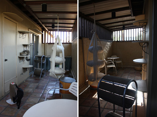 Modern Cat's Catio